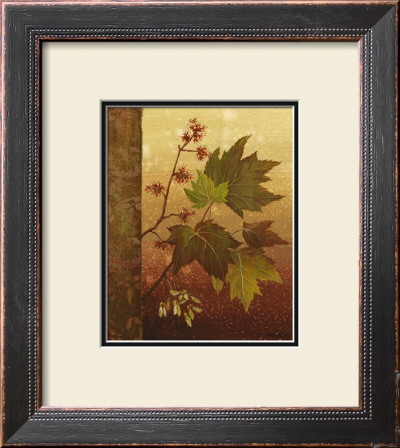 Maple Leaves by Jillian Jeffrey Pricing Limited Edition Print image