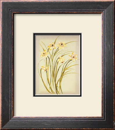 Flor Campestre Ii by Nistal Pricing Limited Edition Print image