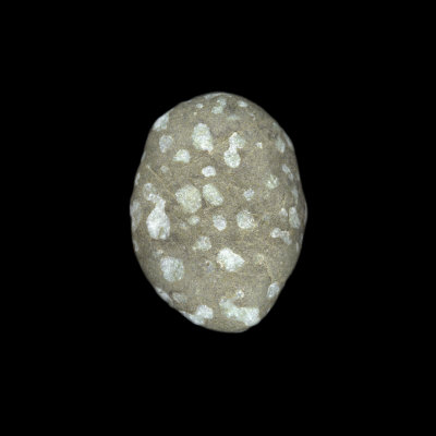 Egg-Shaped Basalt Beach Stone With White Crystalline Spots by Josie Iselin Pricing Limited Edition Print image