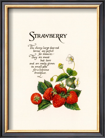 Strawberry by G. Phillips Pricing Limited Edition Print image