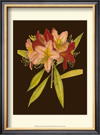 Crimson Blooms Iii by Samuel Curtis Pricing Limited Edition Print image