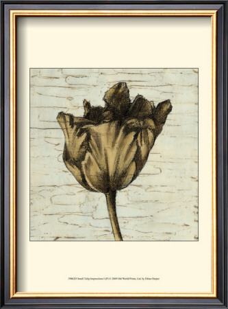Tulip Impressions I by Ethan Harper Pricing Limited Edition Print image