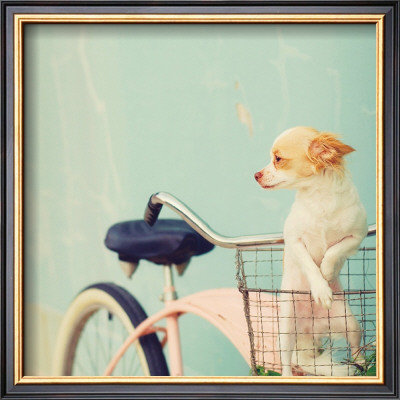Dog Gone by Mandy Lynne Pricing Limited Edition Print image