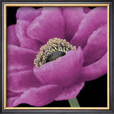 Brilliant Blooms I by Linda Wood Pricing Limited Edition Print image