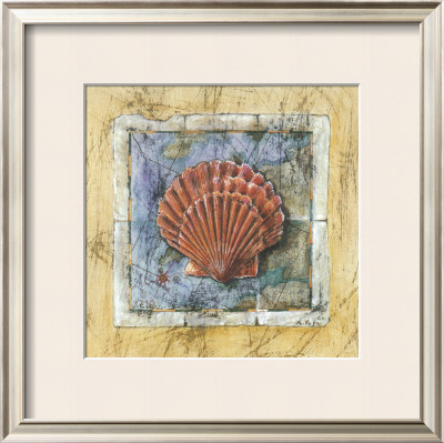 Sea Shell by A. Vega Pricing Limited Edition Print image