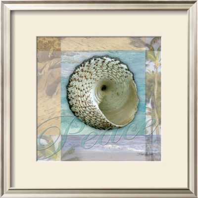 Peace Shell by Todd Williams Pricing Limited Edition Print image