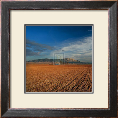 Spanish Landscape I by Bill Philip Pricing Limited Edition Print image