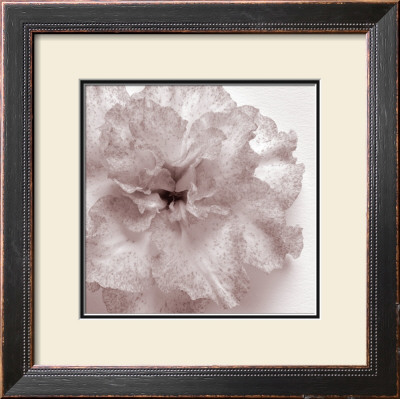 Blossom I by J.K. Driggs Pricing Limited Edition Print image