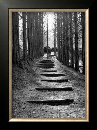Forest Steps by Stephen Lebovits Pricing Limited Edition Print image