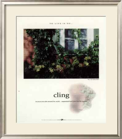 Cling by Francis Pelletier Pricing Limited Edition Print image