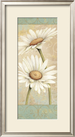 Beautiful Daisies Ii by Daphne Brissonnet Pricing Limited Edition Print image