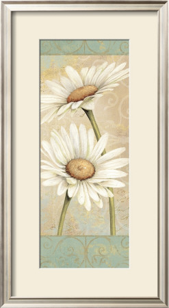 Beautiful Daisies Ii by Daphne Brissonnet Pricing Limited Edition Print image
