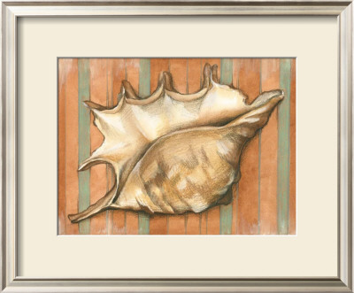 Shell On Stripes Ii by Laura Nathan Pricing Limited Edition Print image