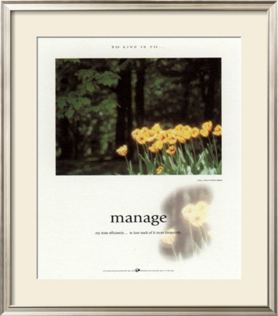 Manage by Francis Pelletier Pricing Limited Edition Print image