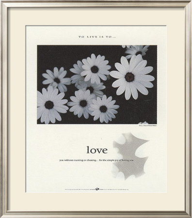 Love by Francis Pelletier Pricing Limited Edition Print image