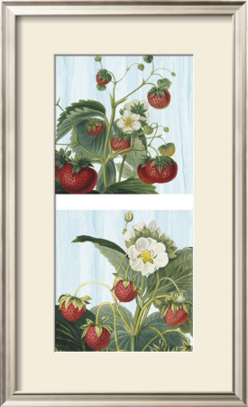 Wild Strawberries by Sarah Elizabeth Chilton Pricing Limited Edition Print image