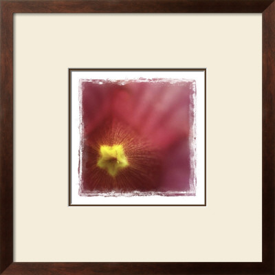 Flower Power I by Susann & Frank Parker Pricing Limited Edition Print image