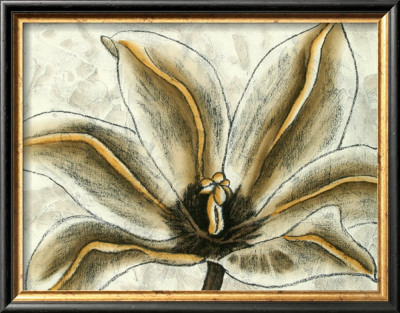 Fresco Flowerhead Iii by Nancy Slocum Pricing Limited Edition Print image