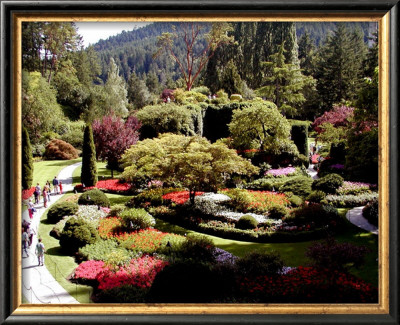 Butchart Gardens, Vancouver Island, Canada by Eric Curre Pricing Limited Edition Print image