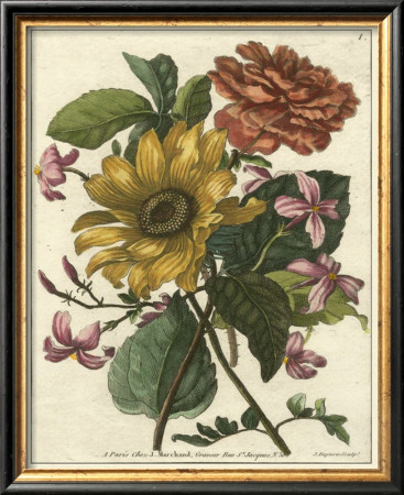 Floral Posy I by Giovanni Ferrari Pricing Limited Edition Print image