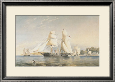 The Kestrel, R.Y.S. by Thomas Sewell Robins Pricing Limited Edition Print image