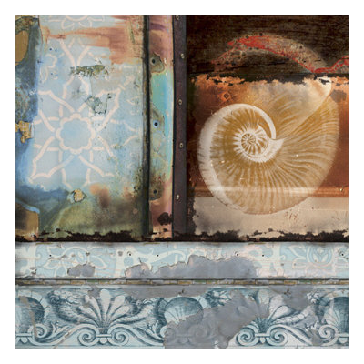 Patina Shell Ii by Maxwell Hutchinson Pricing Limited Edition Print image