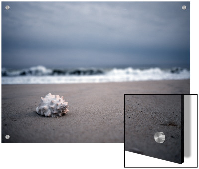 Shell At The Beach, Atlantic Ocean, Montauk, New York by R.K. Pricing Limited Edition Print image