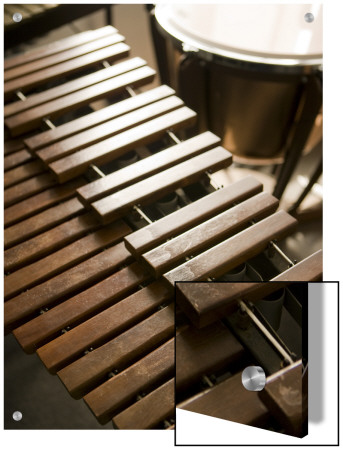 Wood Instrument Xylophone by S.B. Pricing Limited Edition Print image