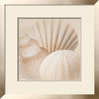 Shells Iii by Jan Lens Pricing Limited Edition Print image