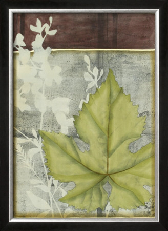 Leaf Medley Iii by Jennifer Goldberger Pricing Limited Edition Print image