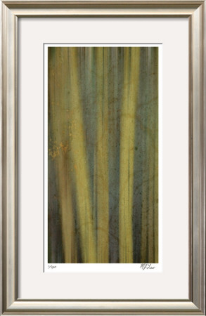 Hidden Bamboo I by M.J. Lew Pricing Limited Edition Print image