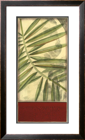 Regal Palm Ii by Jennifer Goldberger Pricing Limited Edition Print image