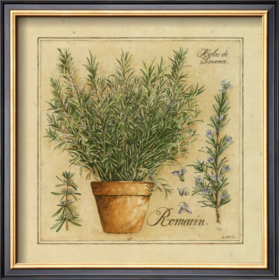 Herbes De Provence, Romarin by Pascal Cessou Pricing Limited Edition Print image