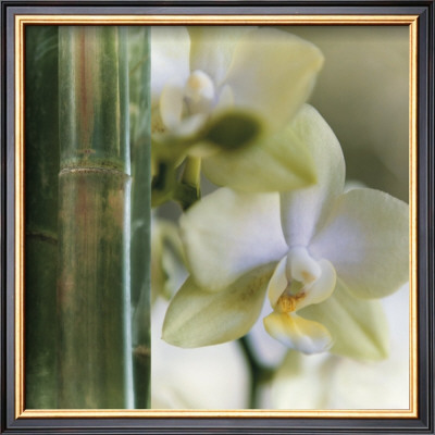 Bamboo Iv by Jennifer Broussard Pricing Limited Edition Print image