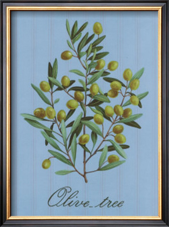 Olive Tree by Thilly Pricing Limited Edition Print image