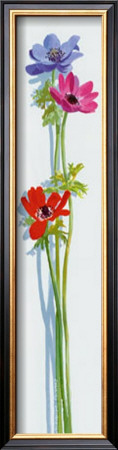 Anemones by Jacqueline Penney Pricing Limited Edition Print image