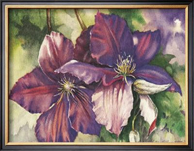 Clematis Blooms by Peggy Thatch Sibley Pricing Limited Edition Print image