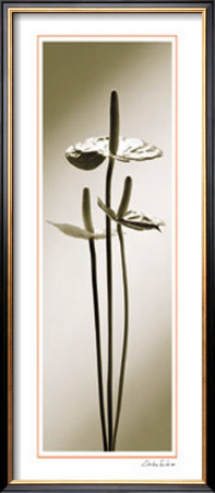 Anthurium by Edoardo Sardano Pricing Limited Edition Print image
