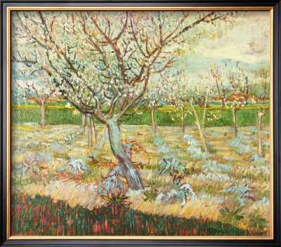 Olive Trees by Vincent Van Gogh Pricing Limited Edition Print image