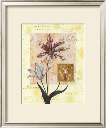Tulipe by G.P. Mepas Pricing Limited Edition Print image