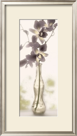 Charming Orchid by Donna Geissler Pricing Limited Edition Print image