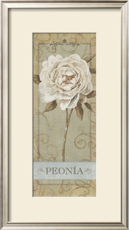 Pretty In Peony I by Lisa Audit Pricing Limited Edition Print image