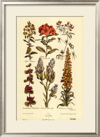 Exotic Botany by Sir John Hill Pricing Limited Edition Print image