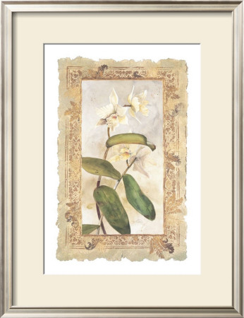 Orchid by George Caso Pricing Limited Edition Print image