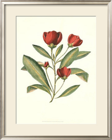 Jenna's Flowers Iv by Charles Francois Sellier Pricing Limited Edition Print image