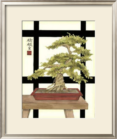 Zen Bonsai Ii by Jennifer Goldberger Pricing Limited Edition Print image