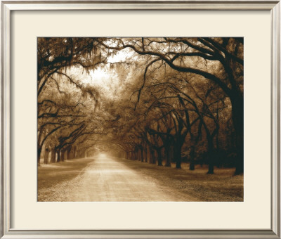 Savannah Oaks I by Alan Hausenflock Pricing Limited Edition Print image