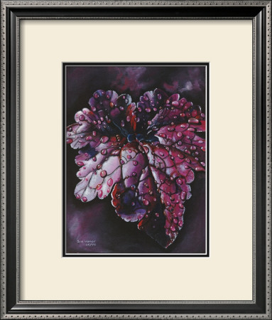 Heuchera After Rain by Sue Warner Pricing Limited Edition Print image