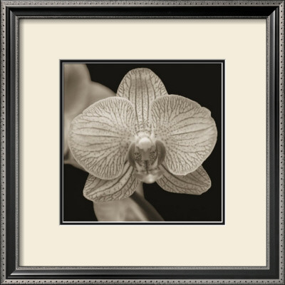 Flower by Nelson Figueredo Pricing Limited Edition Print image