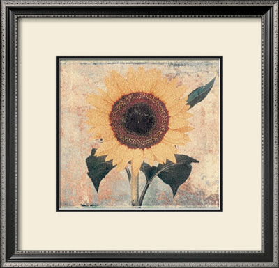 Sunflower by John Faulkner Pricing Limited Edition Print image